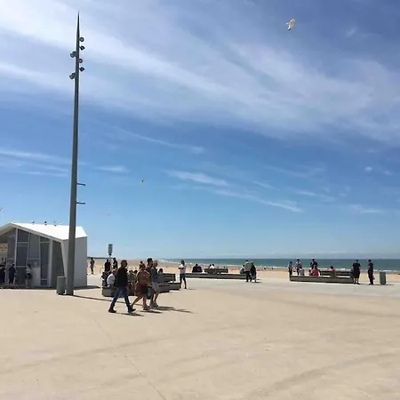 Apartament Cosy Avec Vue Calais